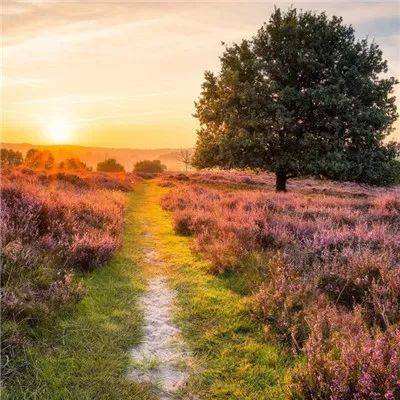 皇冠体育下载地址截图